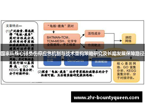 国家队核心球员伤停应急机制与战术重构策略研究及长期发展保障路径